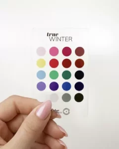 Seizoenstype kleurenpas True Winter kleuranalyse ColorCompass